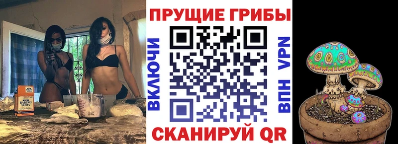 Псилоцибиновые грибы мицелий  купить наркотики сайты  блэк спрут как зайти  Сосновый Бор 